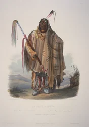 Pehriska-Ruhpa, un indiano Minatarree o panciuto